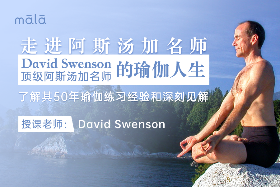 走进阿斯汤加名师David Swenson的瑜伽人生