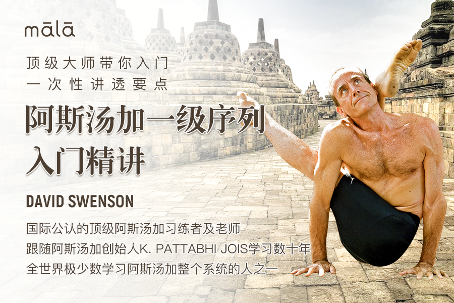顶级阿斯汤加名师 David Swenson - 阿斯汤加一级序列入门精讲